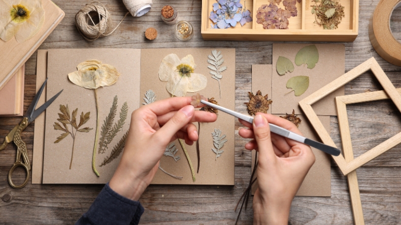 Inspiring Creativity with Skilled Arts & Crafts Professionals